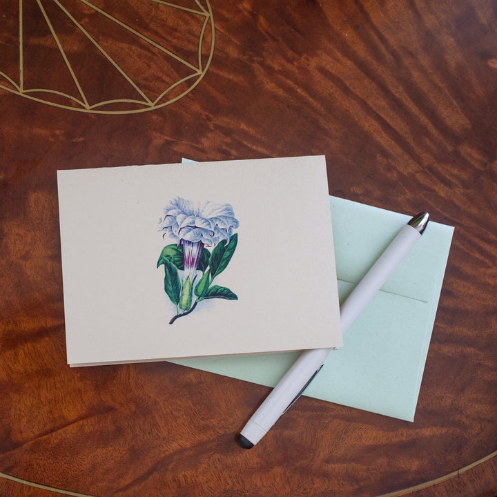 Datura Cornucopia Notecard