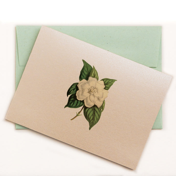 Lilybranch's Gardenia Notecard with green ledger recycled envelope