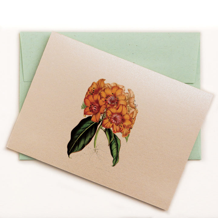 Golden Rhododendron notecard with green kraft envelope