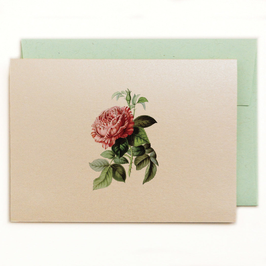 Heirloom rose on a soft white, shimmery metallic cardstock with a vintage green envelope