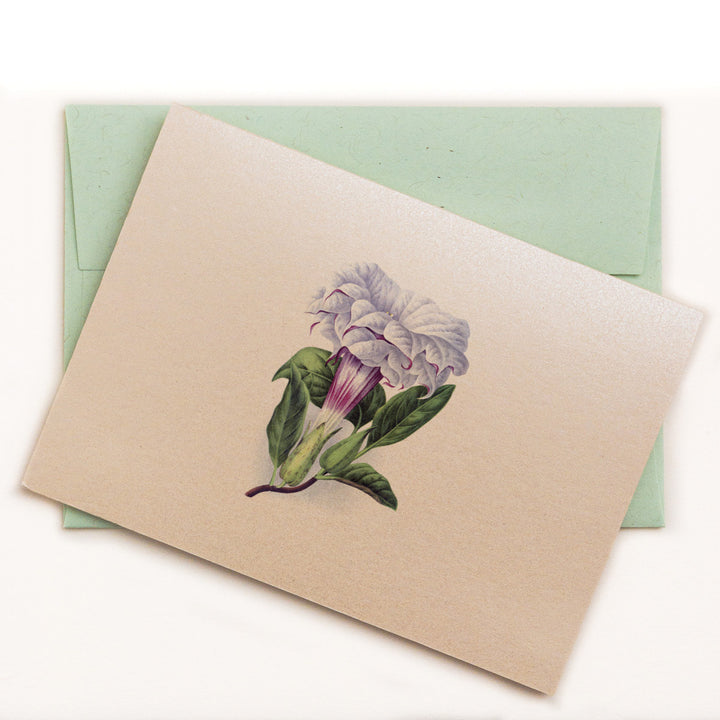 Datura Cornucopia Notecard