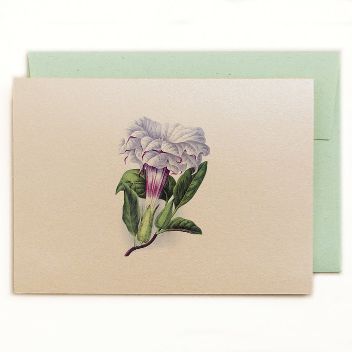 Datura Cornucopia Notecard