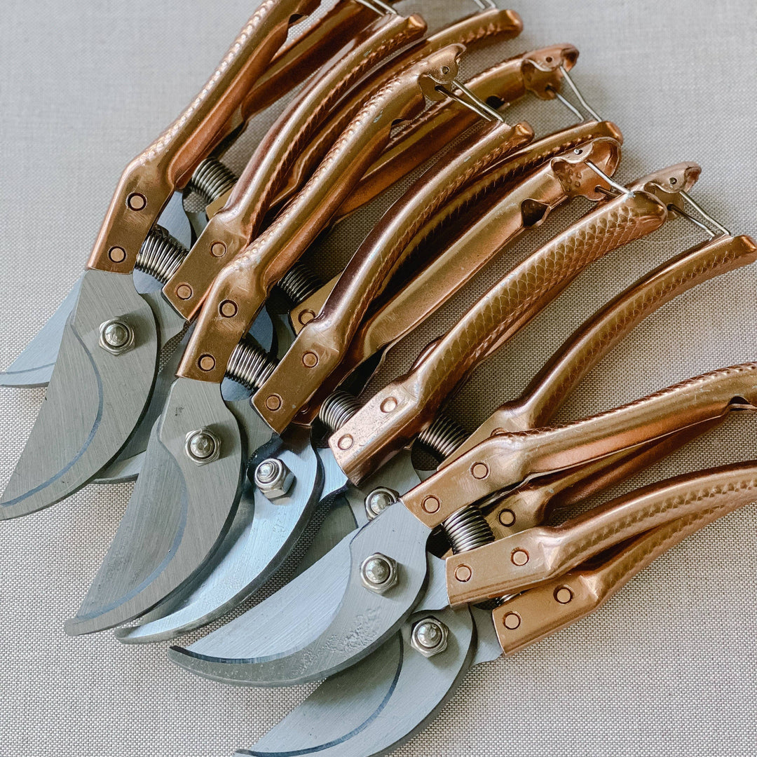 Set of gardening shears with copper handles on a neutral background