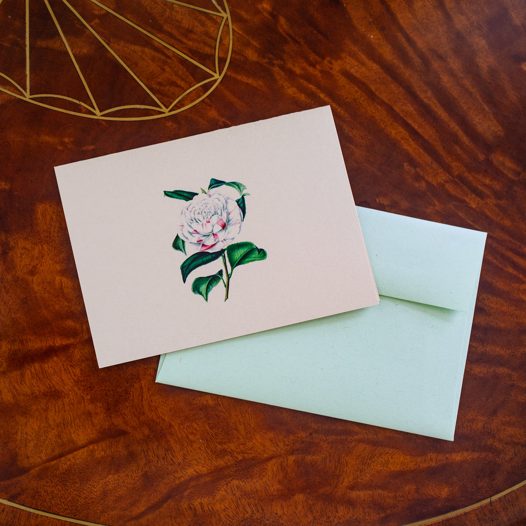 Countess of Orkney Camellia Floral Notecard