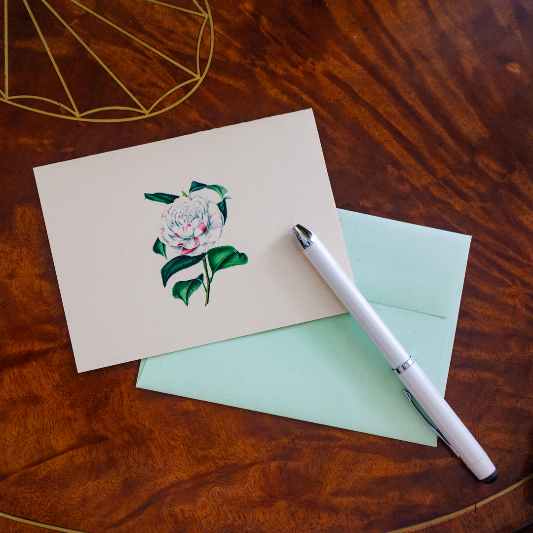 Countess Orkney Camellia Floral Notecard