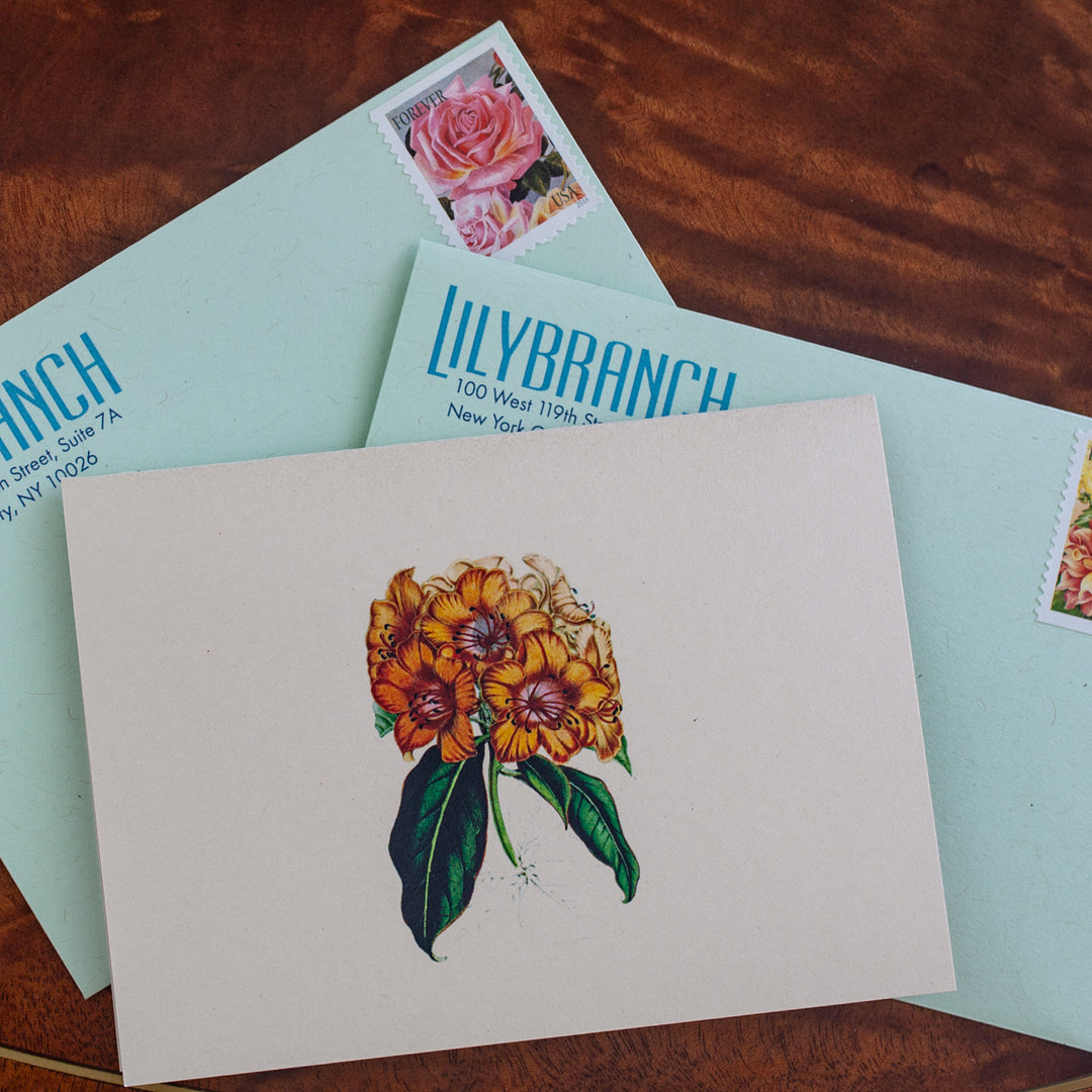 Rhododendron notecard with green kraft envelope