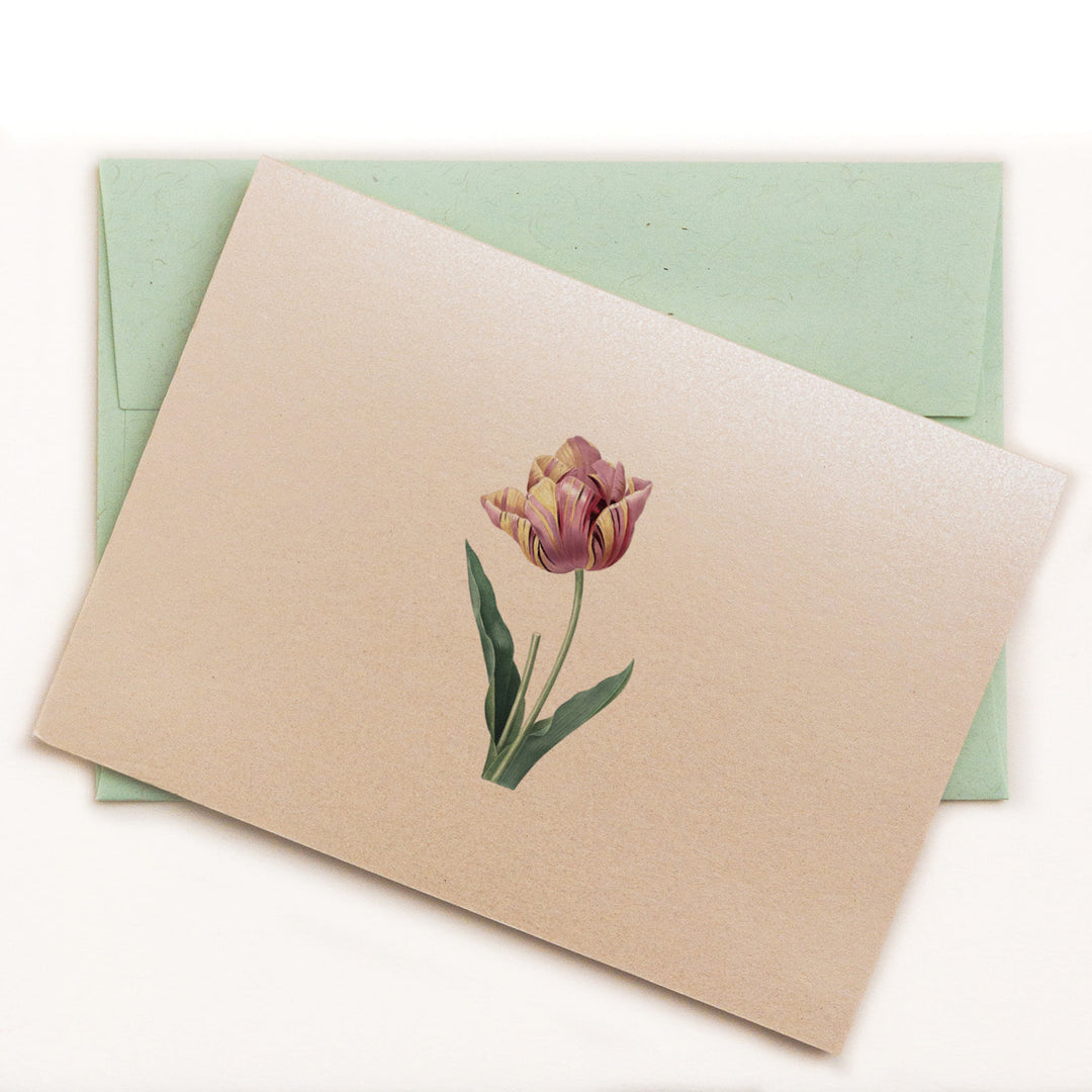 Puce and faint yellow tulip on folded notecard