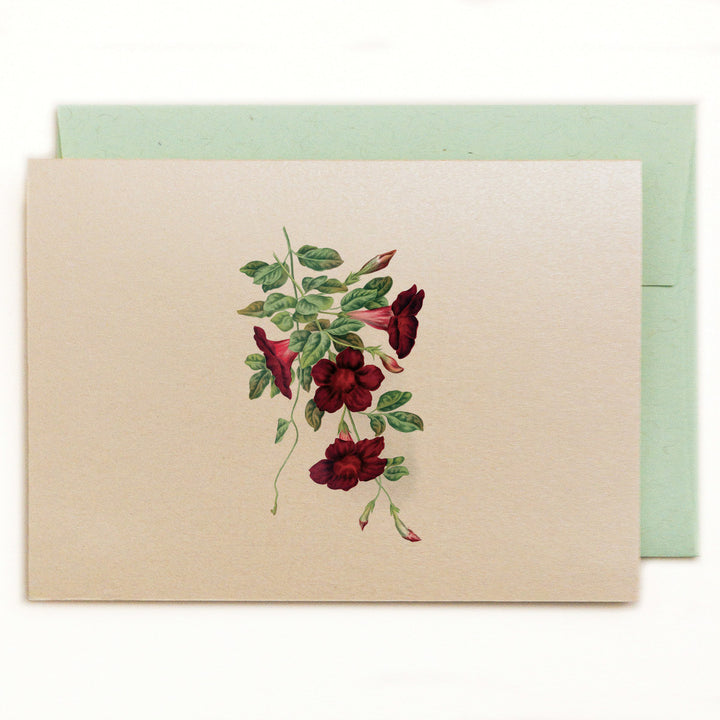 Dark red trumpet flower with green kraft envelope