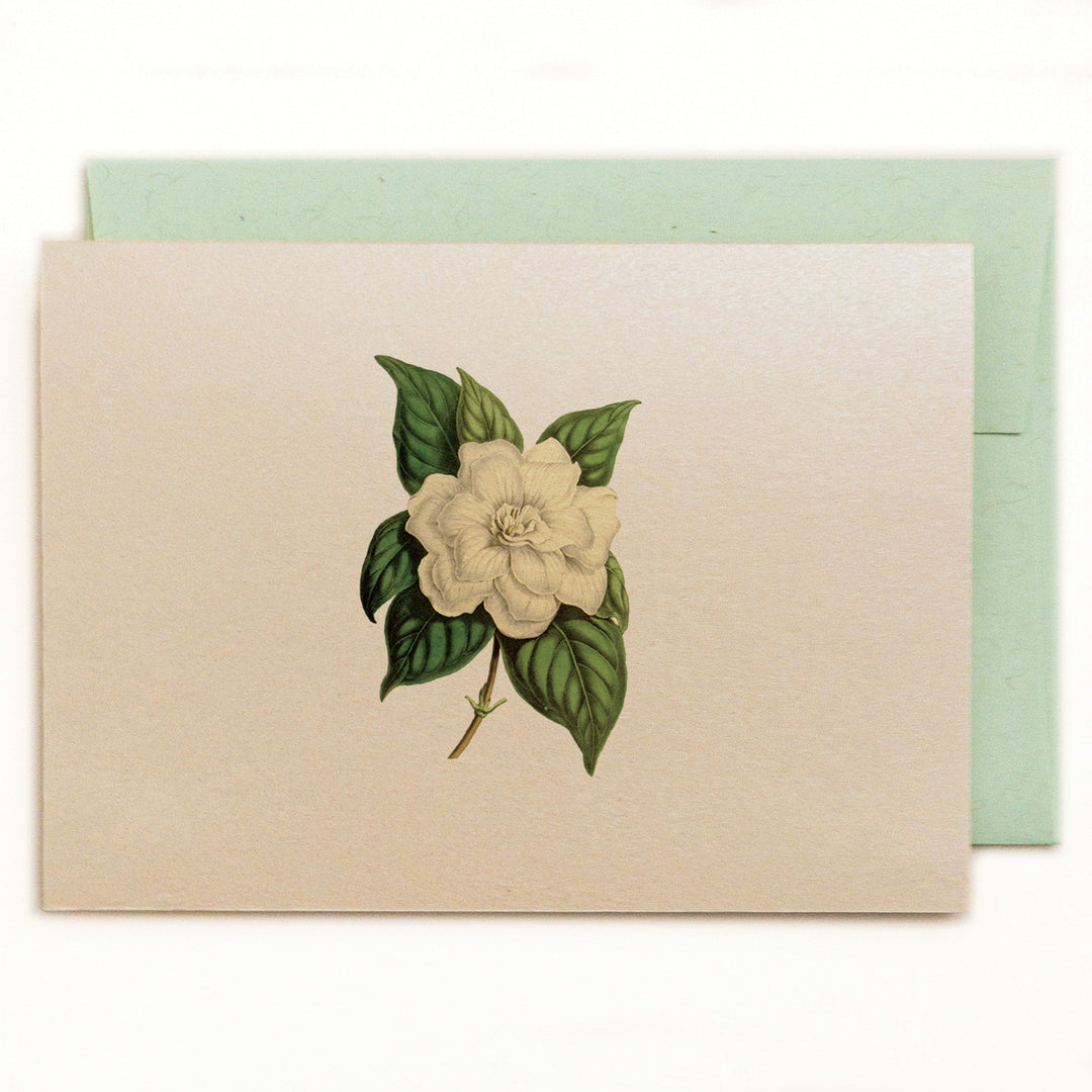 Gardenia Botanical Illustration Notecard with Green Kraft Envelope