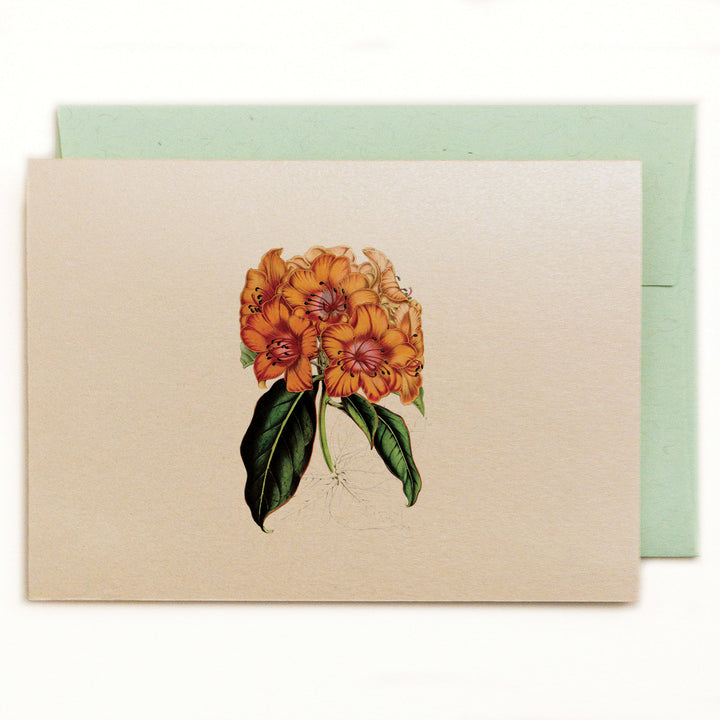 Golden Rhododendron notecard with green kraft envelope