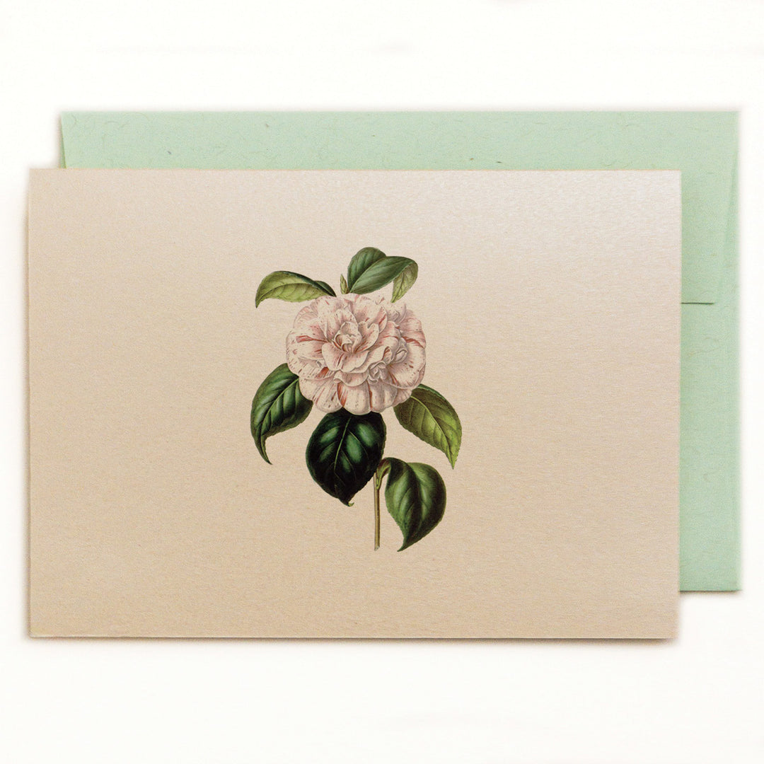 Japanese Camellia Notecard with kraft green, recycled envelope
