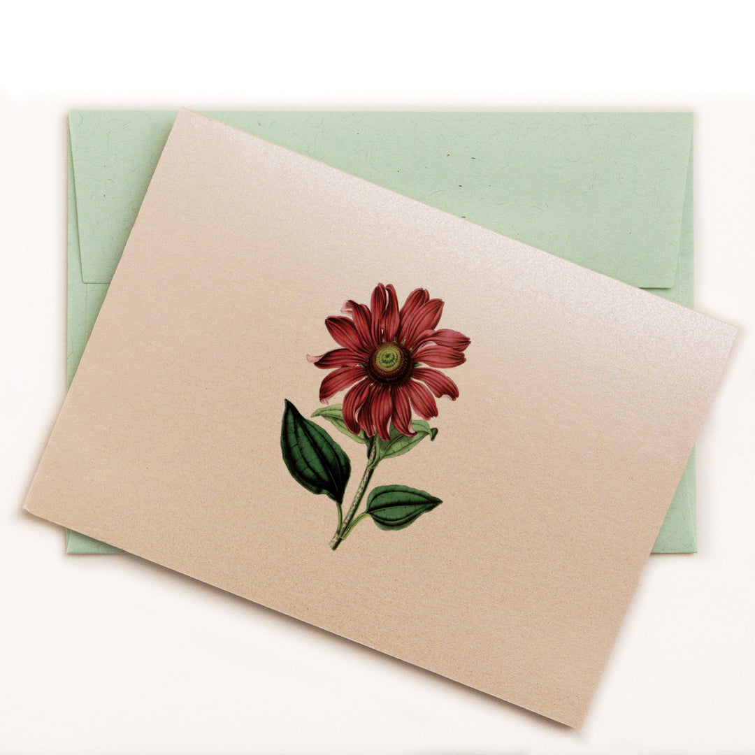 A Dozen Flowers Notecards
