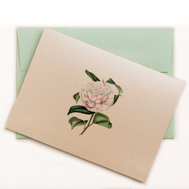 Countess Orkney Camellia Floral Notecard