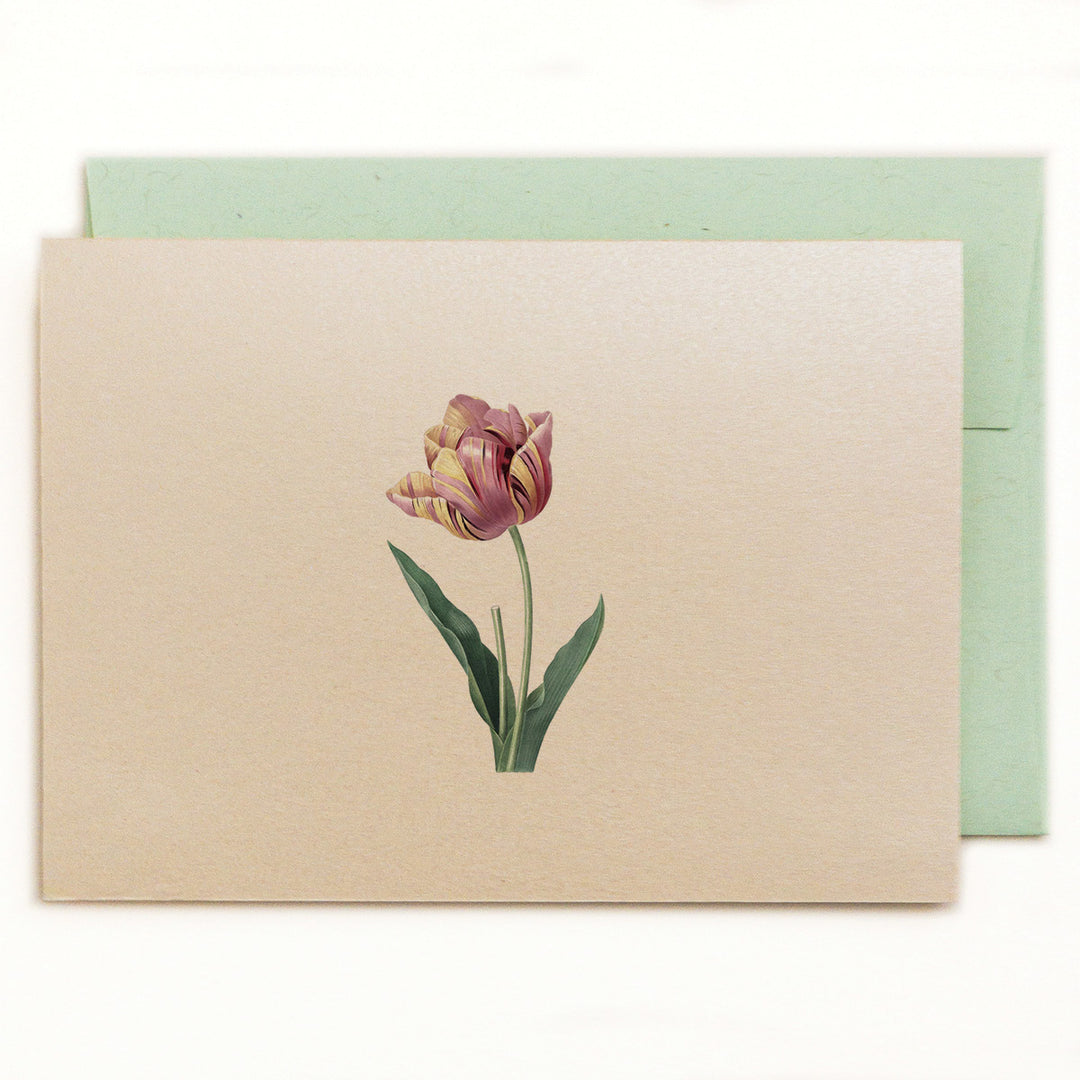Tulip Botanical Illustration Notecard