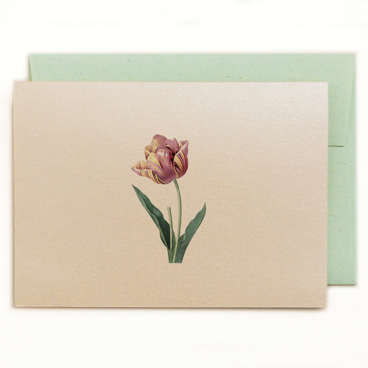 Deep dusty rose and ivory variegated single tulip on a metallic autumn hay notecard with recycled kraft green envelope.