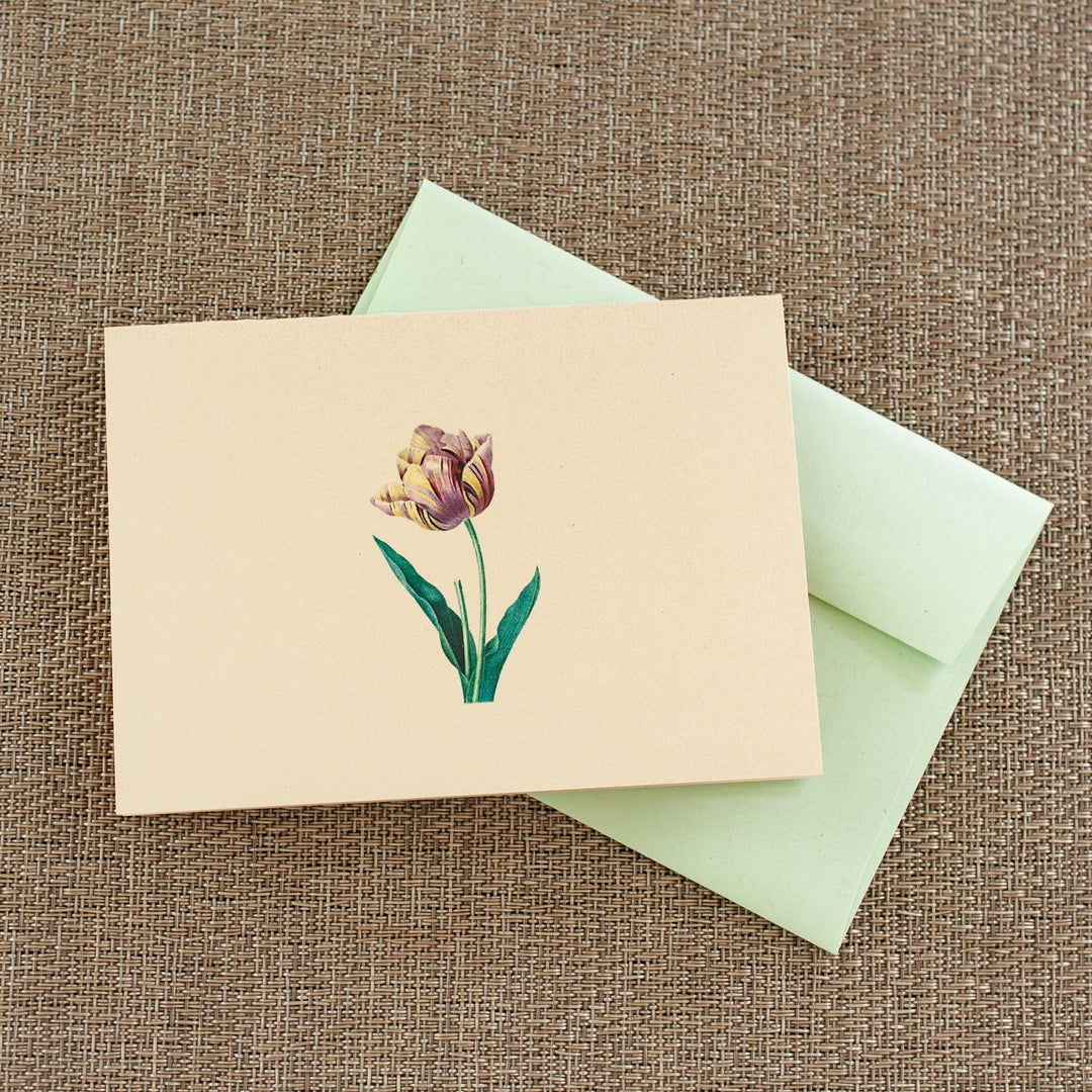 Burgundy and yellow tulip notecard with green envelope